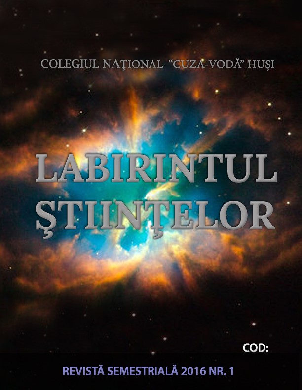 Labirintul Stiintelor - coperta1